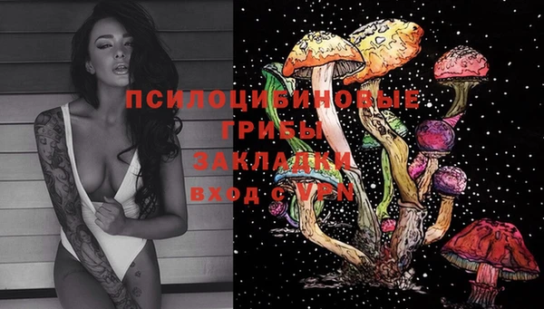 мдпв Волоколамск