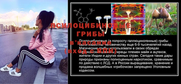 твердый Володарск