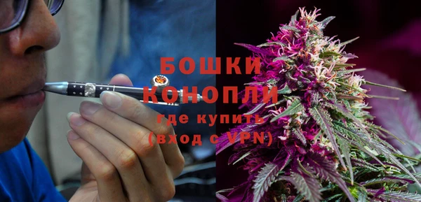 молекула духа Волосово