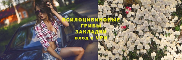 мдпв Волоколамск