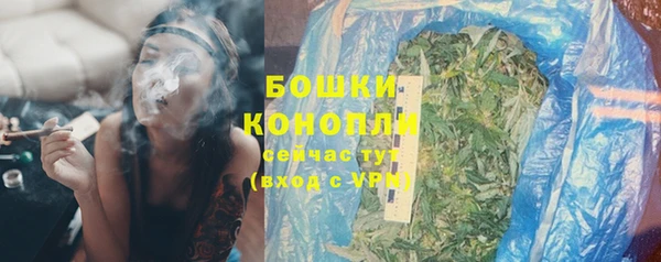 мдпв Волоколамск