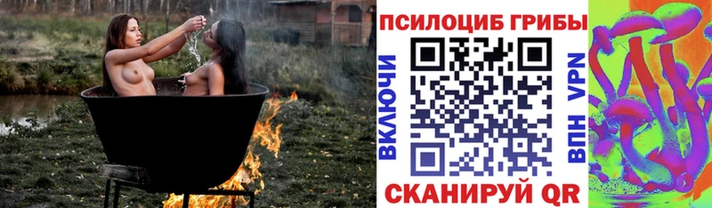 Псилоцибиновые грибы Cubensis Полярный